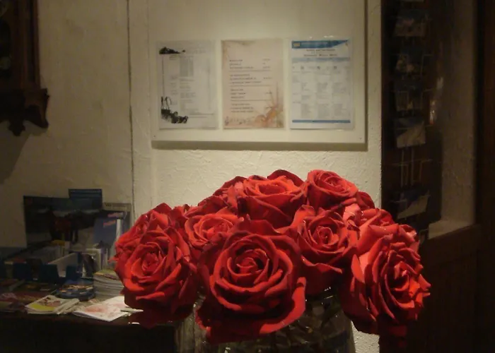 & 3* Γκρίντελβαλντ